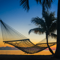 Hammock hangs between palm trees at sunrise. By Jo